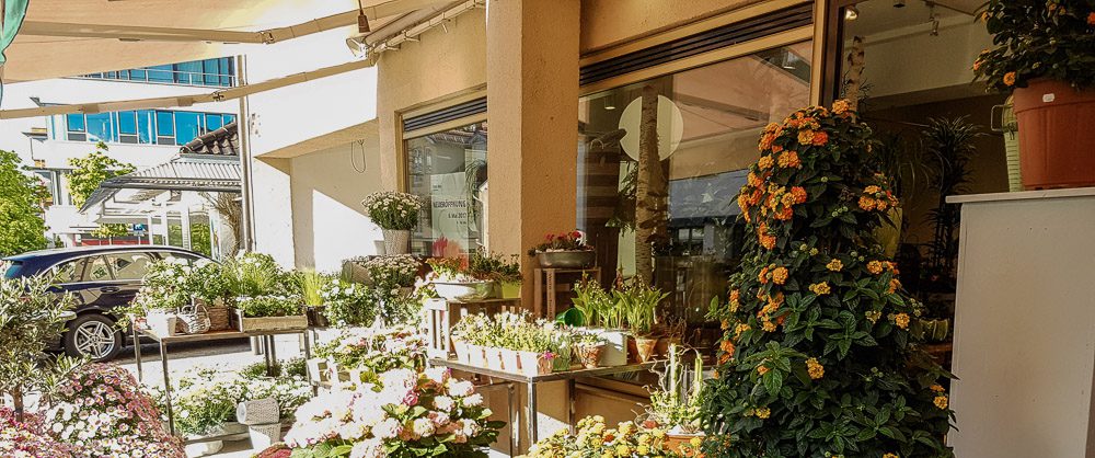 Blumen Haas in der Wittelsbacherstraße