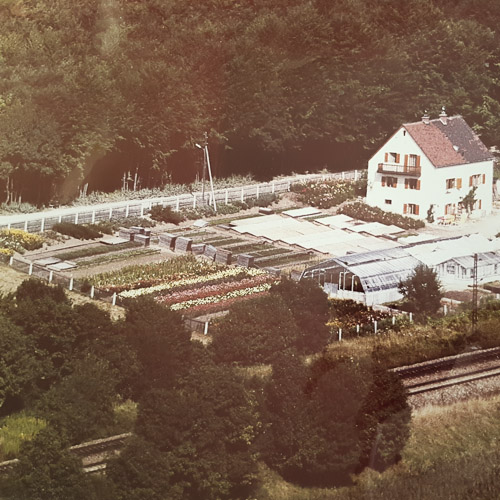 Gärtnerei Stückle
